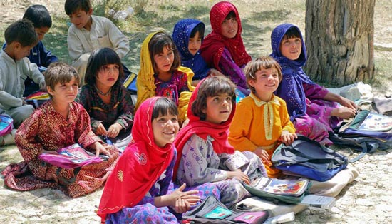 ddos在线攻击平台